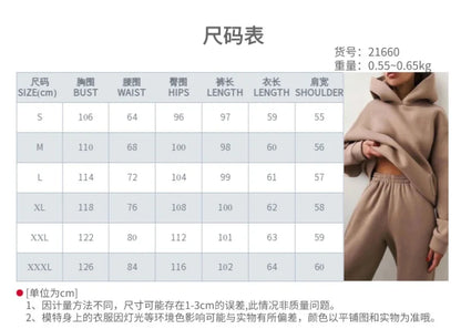 2 Pieces Set Women New Fashion Leisure Autumn Winter Pure Color Fleece Hooded two-piece Sports Suits Dropshipping LKX21660