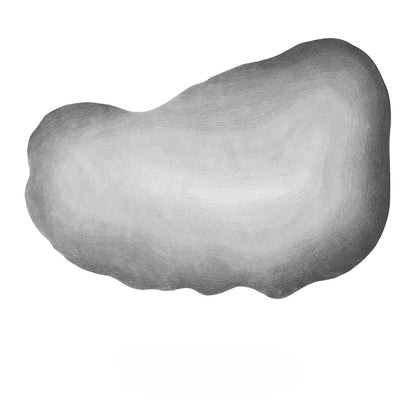 Wabi sabi Style Carpets for Living Room Luxury Bedroom Decor Gray Carpet Irregular Shape Plush Rug Fluffy Soft washable Mat