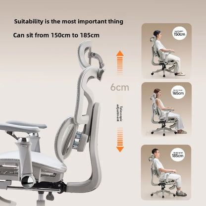 Esports Ergonomic Lift Chair Bedroom 6D Armrest Lumbar Support Computer Chair Household Comfortable Office Backrest Chair - Kimlud