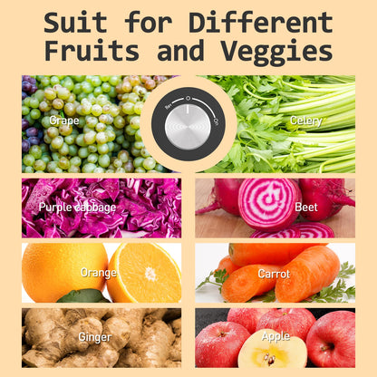 WHALL Slow Masticating Juicer, Cold Press Juicer, Slow Juicer for Home Use.