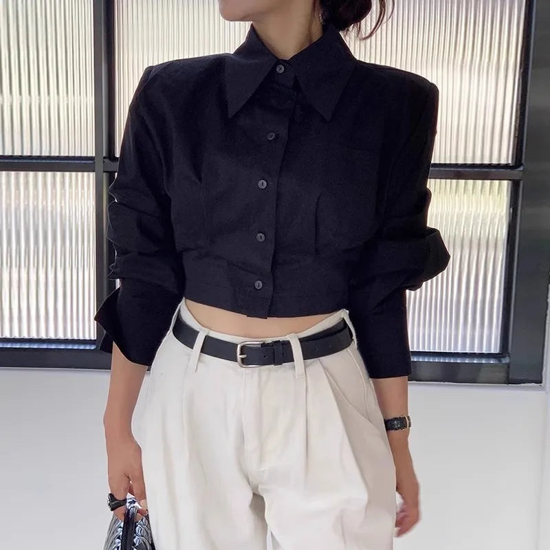 Spring Summer Women Turn-down Collar Long Sleeve Shirts Solid Color Hollow Out Blouse Korean Fashion Lady Elegant Button Tops