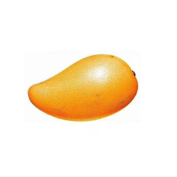 AKARZ brand Mango butter high-quality origin Southeast Asia white solid Skin care face products Cosmetic raw materials base oil